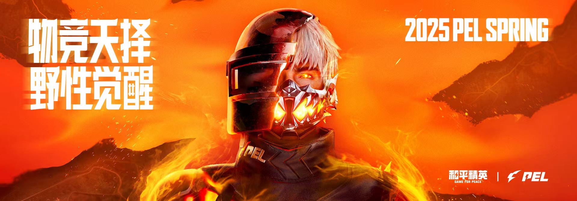 和平精英「青蛙直装」辅助，支持地铁